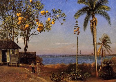 En udsigt på Bahamas af Albert Bierstadt